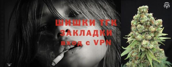 мдпв Горно-Алтайск