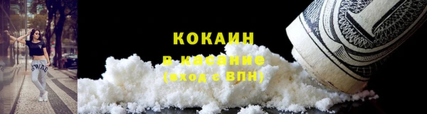 мдпв Горно-Алтайск