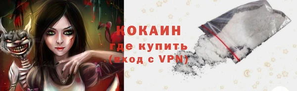 мдпв Горно-Алтайск