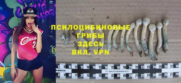 крисы Горнозаводск