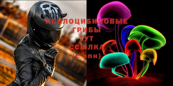 первитин Горняк
